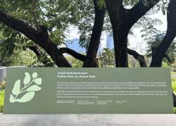 Benjakitti Forest Park, Bangkok, Thailand. By Tse Wai Hei Tobie, 2023.