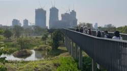 Benjakitti Forest Park, Bangkok, Thailand. By Lai Man Ki Maisy, 2023.
