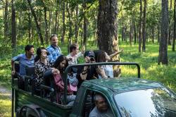 Chitwan National Park. By LAU Kin Yip Ken, 2016.