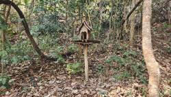 Community-based fish conservation zone on the Ngao River, Mae Hong Son, Thailand. By Ashley Scott Kelly, 2024.