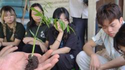 HKU landscape students at Ban Mae Sa Mai Community Tree Nursery, Chiang Mai province, Thailand. By Ashley Scott Kelly, 2024.