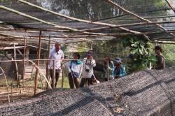 HKU Landscape students at coffee nursery of UPLAO Agricultural Promotion Company, Luang Namtha, Laos. By Ashley Scott Kelly, 2019.