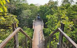 HKU landscape students at Metro Forest Project, Bangkok, Thailand. By Ashley Scott Kelly, 2024.