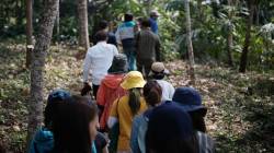 HKU Landscape students at Pha Tad Ke Botanical Garden, Laos. By CHEANG Brian, 2019.