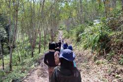 HKU Landscape students at rubber plantation, Nam Deang Tay village, Laos. By TANG Chun Wah Richard, 2019.