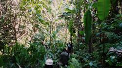 HKU Landscape students visiting a community forest in northern Laos. By LI Hao Lin Tred, 2019.