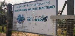 Luang Prabang Wildlife Sanctuary for trafficked species, Laos. By Ashley Scott Kelly, 2019.