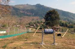Luang Prabang Wildlife Sanctuary for trafficked species, Laos. By Ashley Scott Kelly, 2019.