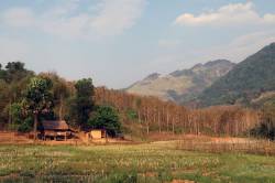 Luang Prabang Wildlife Sanctuary for trafficked species, Laos. By Ashley Scott Kelly, 2019.