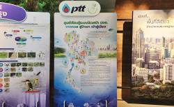 Metro Forest Project, Bangkok, Thailand. By Ashley Scott Kelly, 2024.