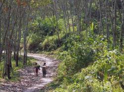 Nam Deang Tay village, Laos. By FUNG Angelica Yan, 2019.