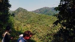 Nam Kae Noy village community forest, Laos. By LI Hao Lin Tred, 2019.