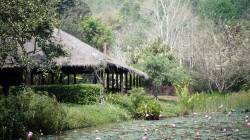 Pha Tad Ke Botanical Garden, Laos. By CHEANG Brian, 2019.