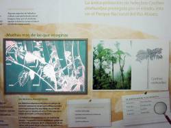 Rio Abiseo Interpretation Center. By Ashley Scott Kelly, 2012.