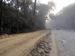Road upgrades in Tikauli Jungle, Chitwan National Park Buffer Zone. By Ashley Scott Kelly, 2016.