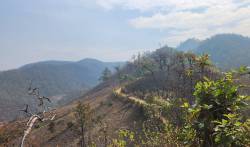 Route to Ban Huai Muang village, Mae Hong Son, Thailand. By Ashley Scott Kelly, 2024.