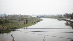 That Luang Special Economic Zone, Vientiane, Laos. By CHEANG Brian, 2019.