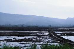 Via IIRSA Norte to Juanhui. By XIA Lewei Peggy, 2012.