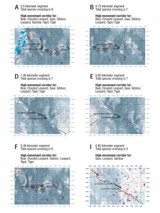 Twelve wildlife crossing segments (not points), flexible enough to take into account local cost engineering and mitigation measures outlined in the accompanying Design Manual, were identified by the design team, 2016.