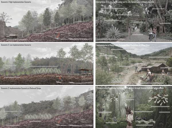 Ethnobotanical endangerment: Productive friction between ex-situ and in-situ cultural conservation for Laos's first botanical garden. By Lee Kai Chi Adam, 2022.