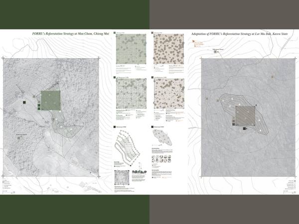 Reforestation as self-determination: Broad-based integration of the framework species method in post-secondary education, Karen State, Myanmar. By Yannie Cheng Sum Yu, 2025.
